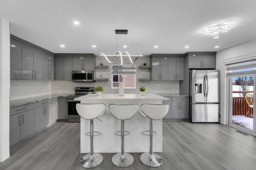 41 Royal Birch Terrace Nw, Calgary, AB - Indoor Photo Showing Kitchen With Upgraded Kitchen