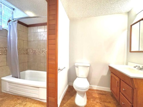 511 Sabrina Road Sw, Calgary, AB - Indoor Photo Showing Bathroom