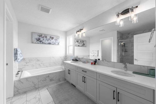 178 Creekstone Path Sw, Calgary, AB - Indoor Photo Showing Bathroom