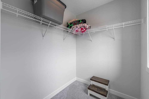 178 Creekstone Path Sw, Calgary, AB - Indoor With Storage
