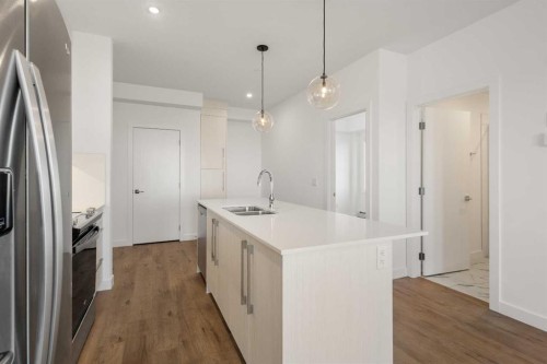 2307-44 Skyview Parkway Ne, Calgary, AB - Indoor Photo Showing Kitchen With Double Sink With Upgraded Kitchen