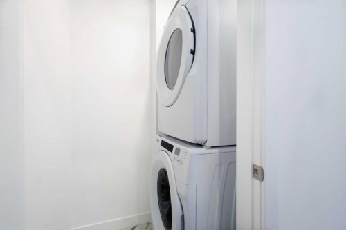 2307-44 Skyview Parkway Ne, Calgary, AB - Indoor Photo Showing Laundry Room