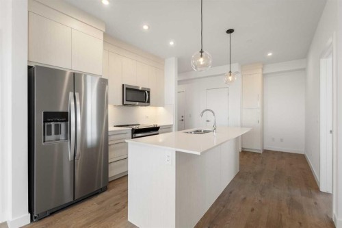 2307-44 Skyview Parkway Ne, Calgary, AB - Indoor Photo Showing Kitchen With Upgraded Kitchen