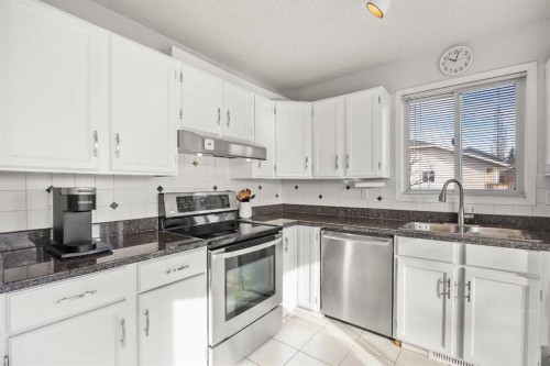 199 Coventry Close Ne, Calgary, AB - Indoor Photo Showing Kitchen With Double Sink