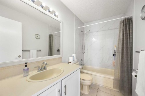 199 Coventry Close Ne, Calgary, AB - Indoor Photo Showing Bathroom