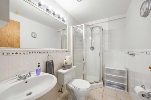 199 Coventry Close Ne, Calgary, AB - Indoor Photo Showing Bathroom