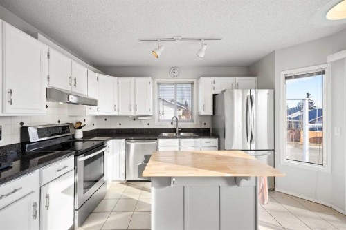 199 Coventry Close Ne, Calgary, AB - Indoor Photo Showing Kitchen With Stainless Steel Kitchen