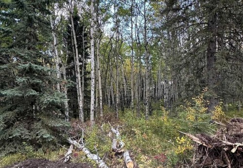 52 Elkstone Way, Rural Rocky View County, AB 