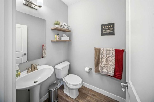 209 Sandpiper Crescent, Chestermere, AB - Indoor Photo Showing Bathroom