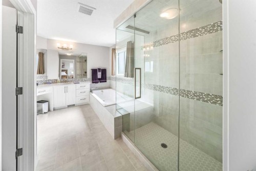209 Sandpiper Crescent, Chestermere, AB - Indoor Photo Showing Bathroom