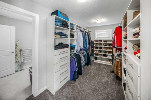 209 Sandpiper Crescent, Chestermere, AB - Indoor With Storage