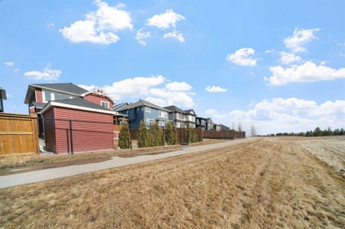 209 Sandpiper Crescent, Chestermere, AB - Outdoor