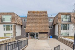 111-920 68 Avenue SW Calgary, AB T2V 0N6