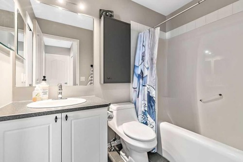 119 Mt Aberdeen Close Se, Calgary, AB - Indoor Photo Showing Bathroom