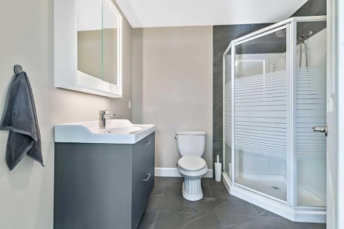 119 Mt Aberdeen Close Se, Calgary, AB - Indoor Photo Showing Bathroom