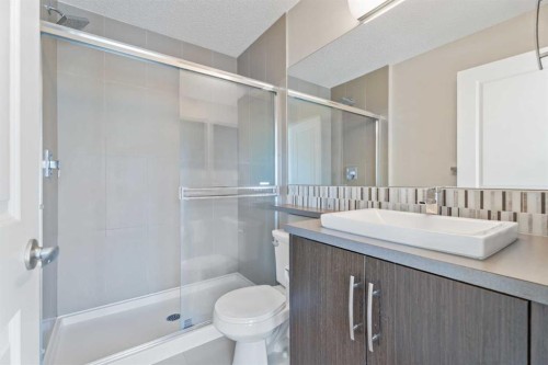 306 Ascot Circle Sw, Calgary, AB - Indoor Photo Showing Bathroom