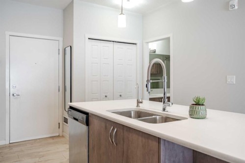 112-20 Seton Park Se, Calgary, AB - Indoor Photo Showing Kitchen With Double Sink