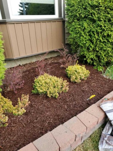 4640 Rundlehill Road Ne, Calgary, AB - Outdoor