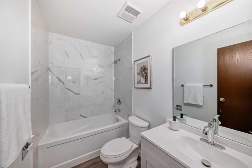 6735 Temple Drive Ne, Calgary, AB - Indoor Photo Showing Bathroom