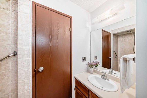 6735 Temple Drive Ne, Calgary, AB - Indoor Photo Showing Bathroom