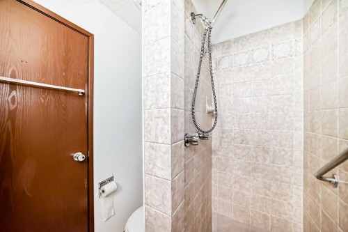 6735 Temple Drive Ne, Calgary, AB - Indoor Photo Showing Bathroom