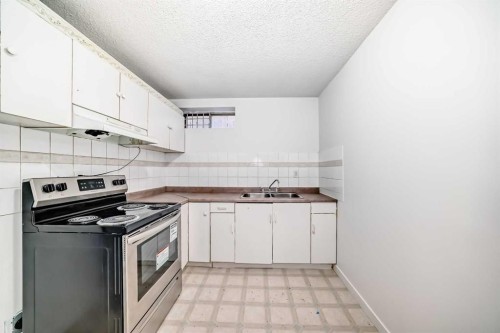 6735 Temple Drive Ne, Calgary, AB - Indoor Photo Showing Kitchen With Double Sink
