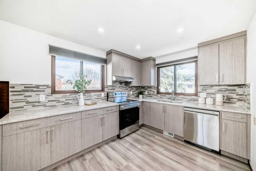 6735 Temple Drive Ne, Calgary, AB - Indoor Photo Showing Kitchen With Upgraded Kitchen