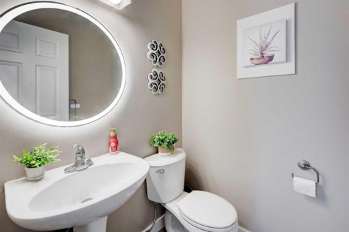52 Bridlemeadows Common Sw, Calgary, AB - Indoor Photo Showing Bathroom