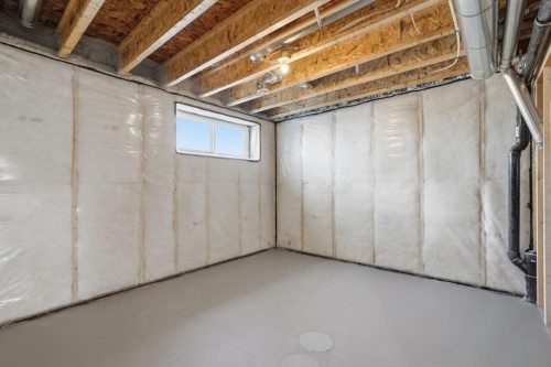 151 Ellen Road, Crossfield, AB - Indoor Photo Showing Basement