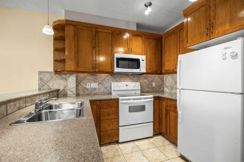 6309-14 Hemlock Crescent Sw, Calgary, AB - Indoor Photo Showing Kitchen With Double Sink