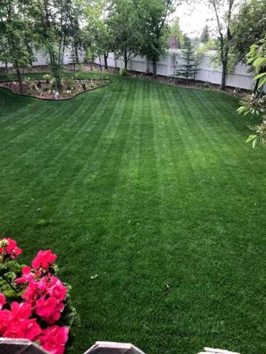 378 Panamount Drive Nw, Calgary, AB - Outdoor