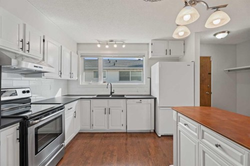 8 Van Horne Crescent Ne, Calgary, AB - Indoor Photo Showing Kitchen With Double Sink