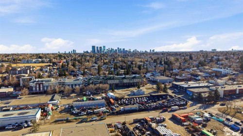 319 36 Avenue Ne, Calgary, AB 