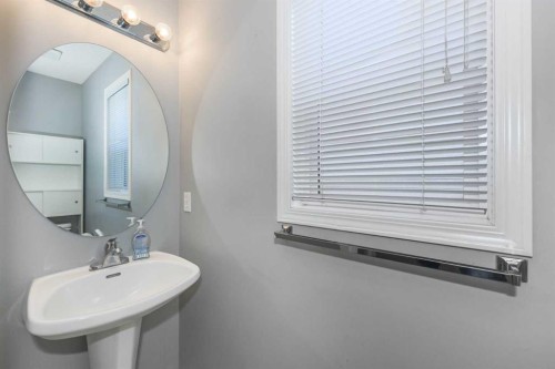 171 Saddlemead Green Ne, Calgary, AB - Indoor Photo Showing Bathroom