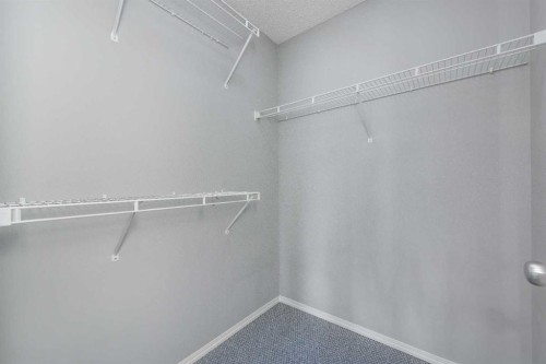 171 Saddlemead Green Ne, Calgary, AB - Indoor With Storage