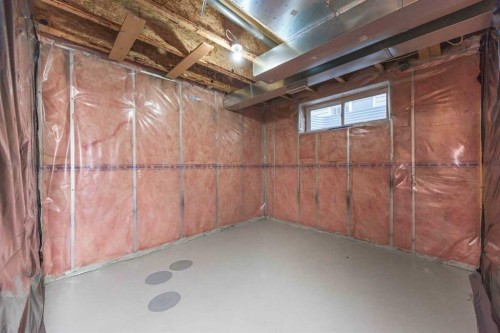 171 Saddlemead Green Ne, Calgary, AB - Indoor Photo Showing Basement