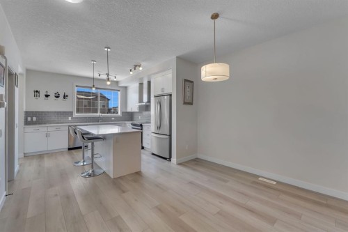 260 Cornerbrook Drive Ne, Calgary, AB - Indoor Photo Showing Kitchen With Stainless Steel Kitchen With Upgraded Kitchen
