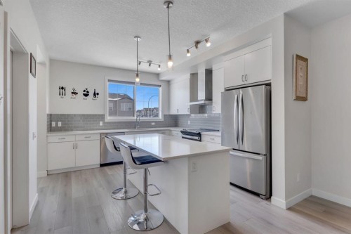 260 Cornerbrook Drive Ne, Calgary, AB - Indoor Photo Showing Kitchen With Stainless Steel Kitchen With Upgraded Kitchen