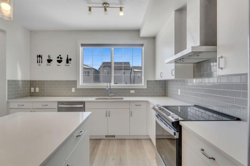 260 Cornerbrook Drive Ne, Calgary, AB - Indoor Photo Showing Kitchen With Upgraded Kitchen