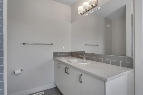 260 Cornerbrook Drive Ne, Calgary, AB - Indoor Photo Showing Bathroom