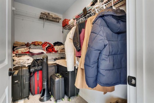 260 Cornerbrook Drive Ne, Calgary, AB - Indoor With Storage