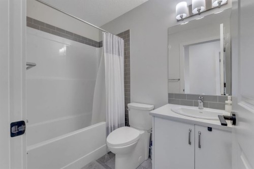 260 Cornerbrook Drive Ne, Calgary, AB - Indoor Photo Showing Bathroom