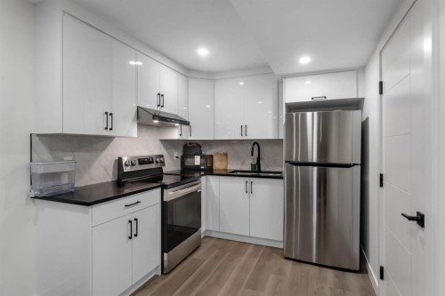 260 Cornerbrook Drive Ne, Calgary, AB - Indoor Photo Showing Kitchen With Stainless Steel Kitchen