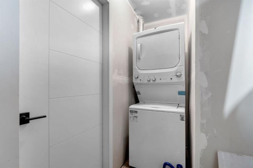 260 Cornerbrook Drive Ne, Calgary, AB - Indoor Photo Showing Laundry Room