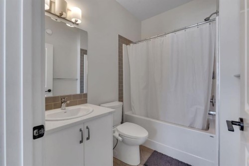 260 Cornerbrook Drive Ne, Calgary, AB - Indoor Photo Showing Bathroom