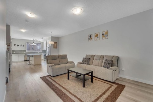 260 Cornerbrook Drive Ne, Calgary, AB - Indoor Photo Showing Living Room