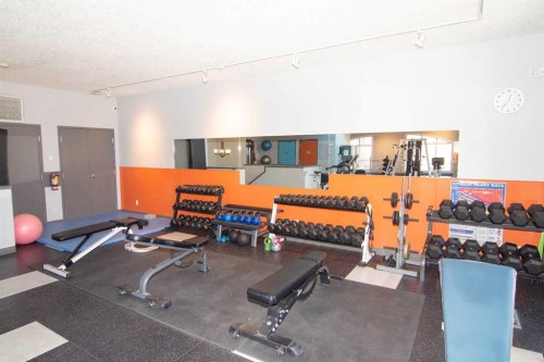 208-10 Hemlock Crescent Sw, Calgary, AB - Indoor Photo Showing Gym Room