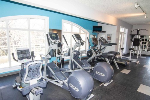 208-10 Hemlock Crescent Sw, Calgary, AB - Indoor Photo Showing Gym Room