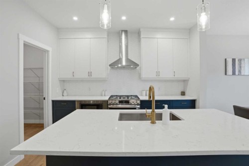 61 Calhoun Crescent Ne, Calgary, AB - Indoor Photo Showing Kitchen With Double Sink With Upgraded Kitchen