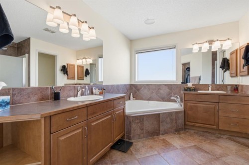 283 Springmere Link, Chestermere, AB - Indoor Photo Showing Bathroom